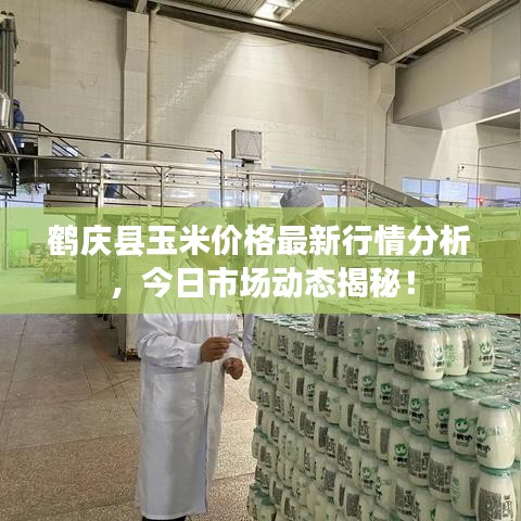 鶴慶縣玉米價(jià)格最新行情分析，今日市場動態(tài)揭秘！