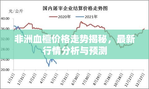 非洲血檀價(jià)格走勢(shì)揭秘，最新行情分析與預(yù)測(cè)