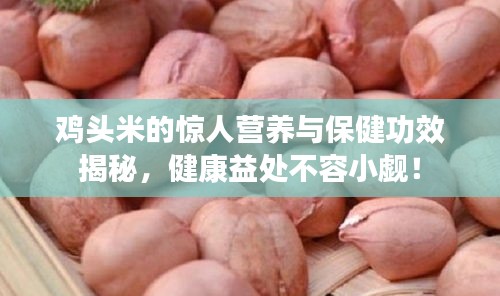 雞頭米的驚人營養(yǎng)與保健功效揭秘，健康益處不容小覷！