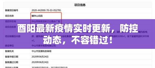 酉陽最新疫情實(shí)時(shí)更新，防控動態(tài)，不容錯(cuò)過！