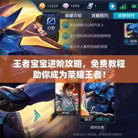 王者寶寶進(jìn)階攻略，免費(fèi)教程助你成為榮耀王者！