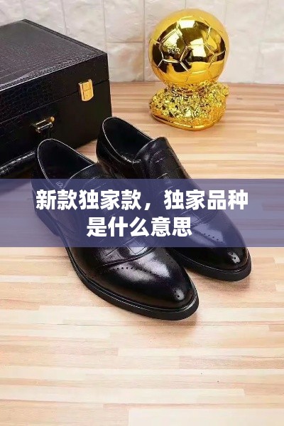 新款獨(dú)家款，獨(dú)家品種是什么意思 