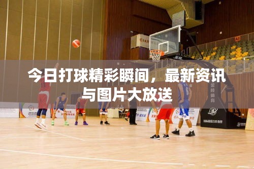 今日打球精彩瞬間，最新資訊與圖片大放送