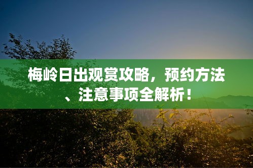 梅嶺日出觀賞攻略，預(yù)約方法、注意事項(xiàng)全解析！