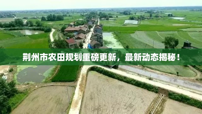 荊州市農(nóng)田規(guī)劃重磅更新，最新動態(tài)揭秘！