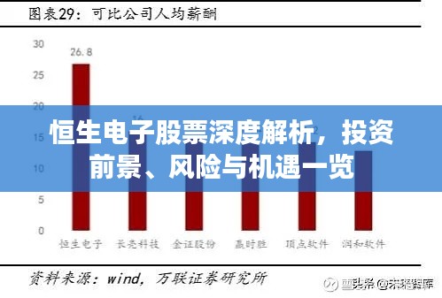 恒生電子股票深度解析，投資前景、風(fēng)險(xiǎn)與機(jī)遇一覽
