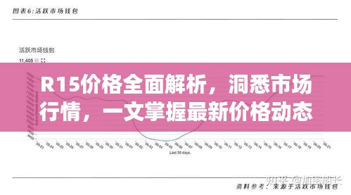 R15價格全面解析，洞悉市場行情，一文掌握最新價格動態(tài)！