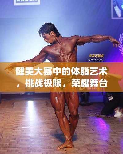 健美大賽中的體脂藝術(shù)，挑戰(zhàn)極限，榮耀舞臺(tái)