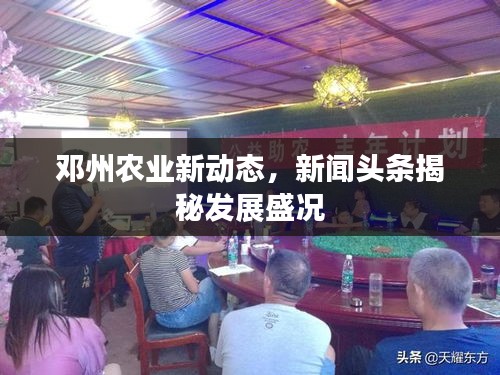 鄧州農(nóng)業(yè)新動(dòng)態(tài)，新聞?lì)^條揭秘發(fā)展盛況