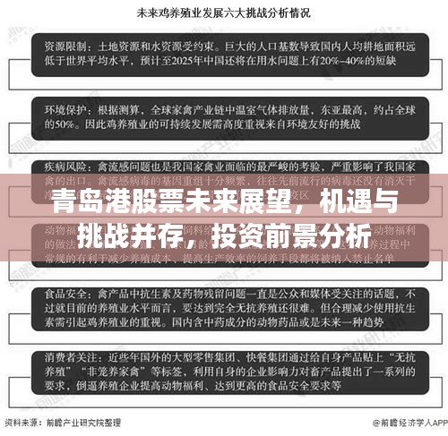 青島港股票未來(lái)展望，機(jī)遇與挑戰(zhàn)并存，投資前景分析
