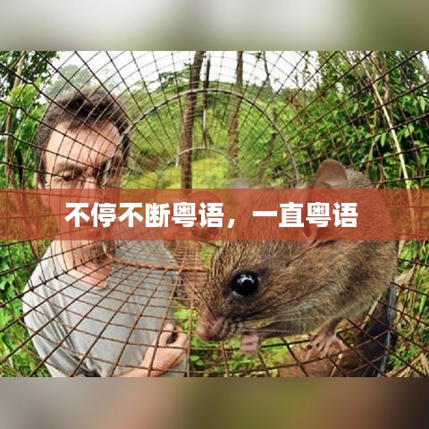 不停不斷粵語，一直粵語 