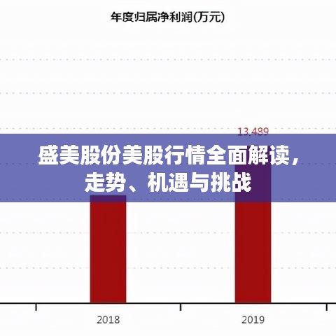 盛美股份美股行情全面解讀，走勢(shì)、機(jī)遇與挑戰(zhàn)