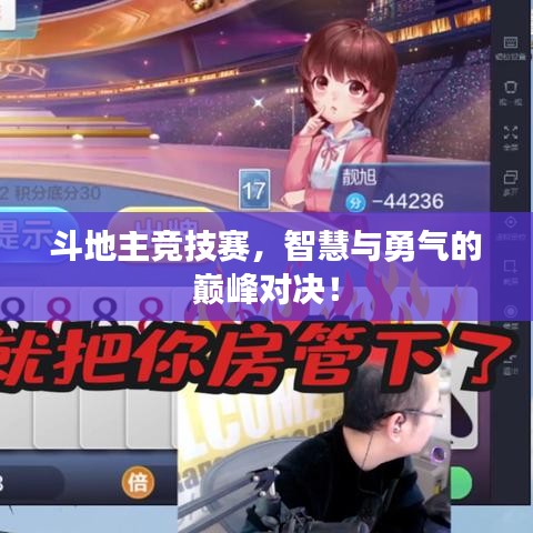 斗地主競(jìng)技賽，智慧與勇氣的巔峰對(duì)決！