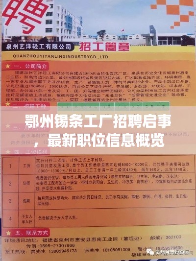 鄂州錫條工廠(chǎng)招聘啟事，最新職位信息概覽