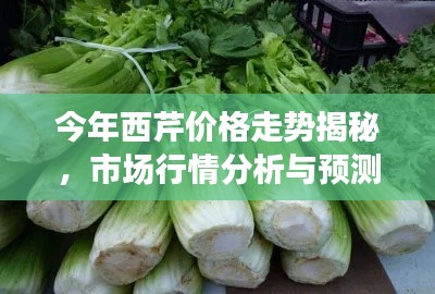 今年西芹價(jià)格走勢(shì)揭秘，市場(chǎng)行情分析與預(yù)測(cè)