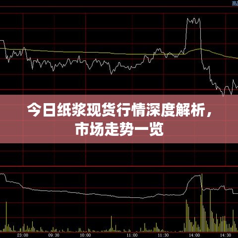 今日紙漿現(xiàn)貨行情深度解析，市場走勢一覽