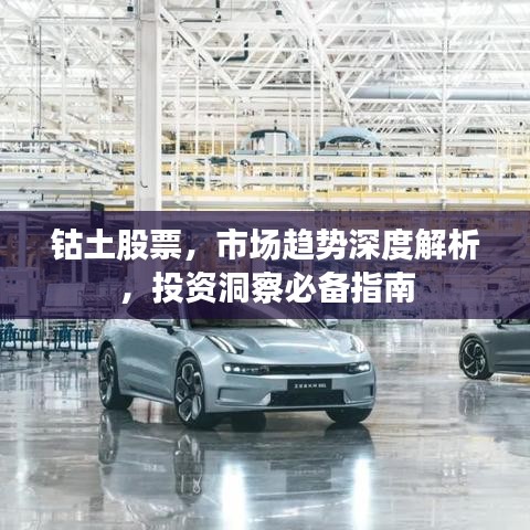 鈷土股票，市場趨勢深度解析，投資洞察必備指南