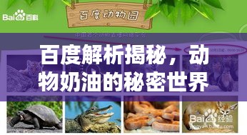 百度解析揭秘，動物奶油的秘密世界！