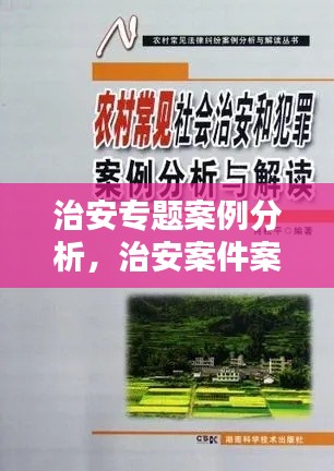 治安專題案例分析，治安案件案例 