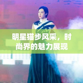 明星貓步風(fēng)采，時(shí)尚界的魅力展現(xiàn)