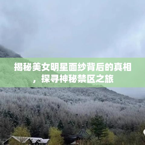 揭秘美女明星面紗背后的真相，探尋神秘禁區(qū)之旅
