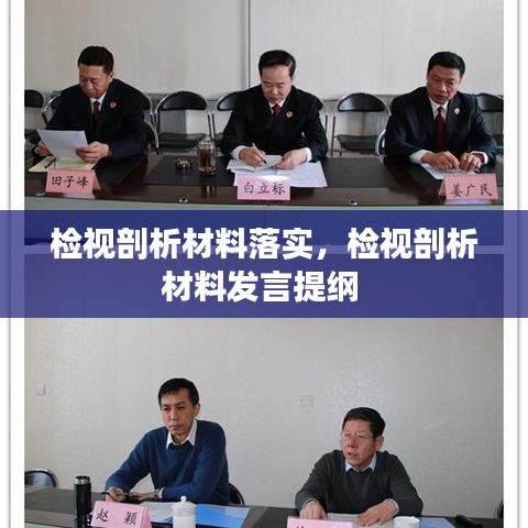 檢視剖析材料落實，檢視剖析材料發(fā)言提綱 
