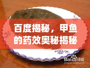 百度揭秘，甲魚(yú)的藥效奧秘揭秘！