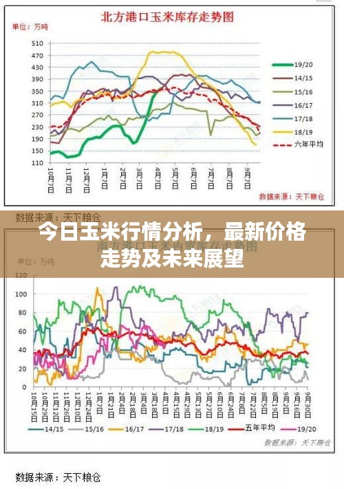今日玉米行情分析，最新價(jià)格走勢及未來展望