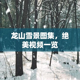 龍山雪景圖集，絕美視頻一覽