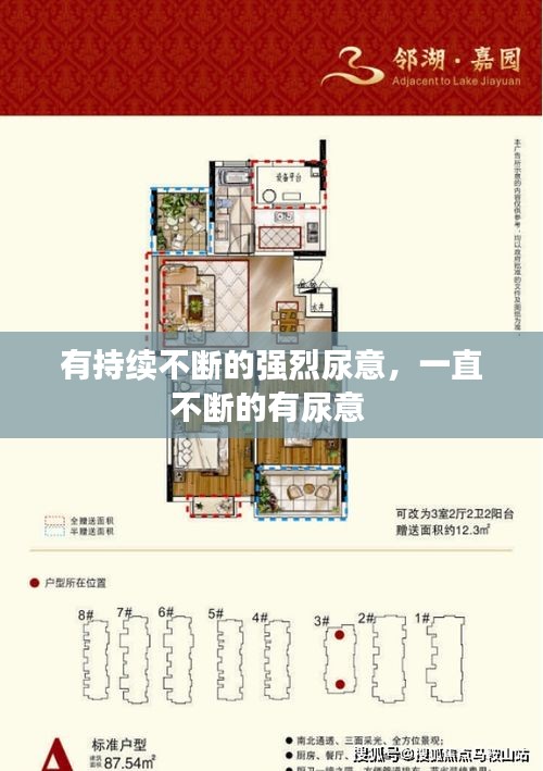 有持續(xù)不斷的強(qiáng)烈尿意，一直不斷的有尿意 
