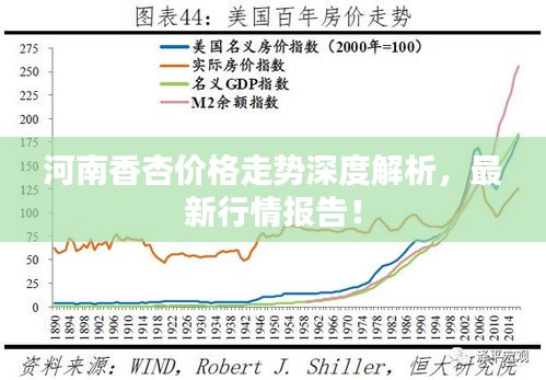 河南香杏價格走勢深度解析，最新行情報告！