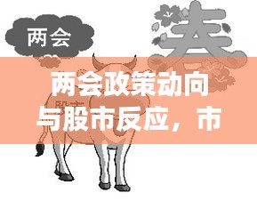 兩會(huì)政策動(dòng)向與股市反應(yīng)，市場(chǎng)走勢(shì)揭秘，投資機(jī)會(huì)前瞻
