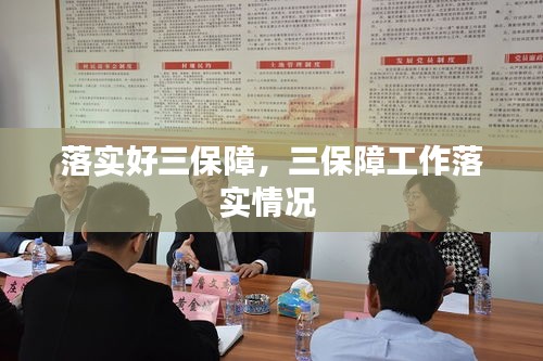 落實(shí)好三保障，三保障工作落實(shí)情況 