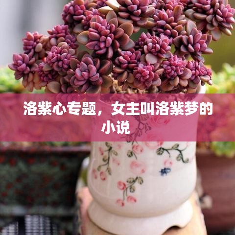 洛紫心專題，女主叫洛紫夢的小說 