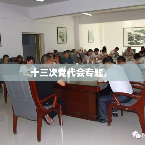 十三次黨代會專題， 