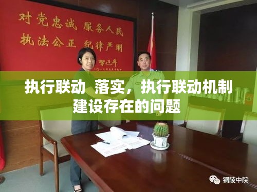 執(zhí)行聯(lián)動  落實，執(zhí)行聯(lián)動機制建設(shè)存在的問題 
