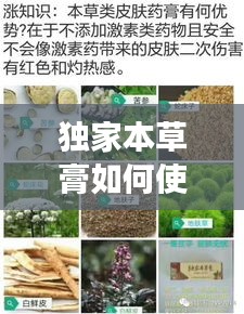 獨(dú)家本草膏如何使用，獨(dú)家本草膏有副作用嗎 
