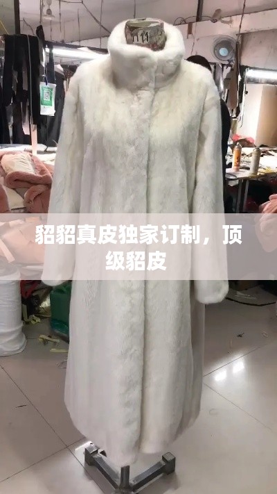 貂貂真皮獨(dú)家訂制，頂級貂皮 
