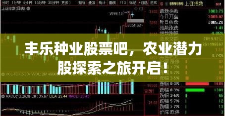 豐樂種業(yè)股票吧，農(nóng)業(yè)潛力股探索之旅開啟！
