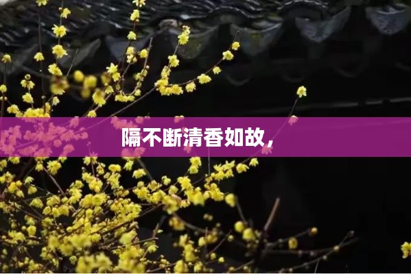 隔不斷清香如故， 