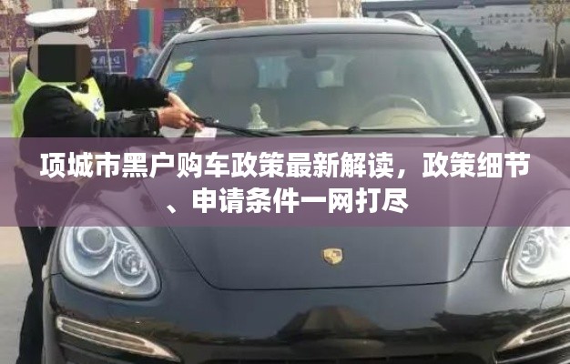 項城市黑戶購車政策最新解讀，政策細節(jié)、申請條件一網(wǎng)打盡