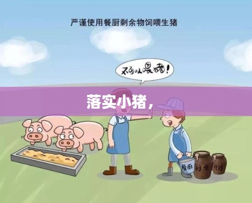 落實小豬， 