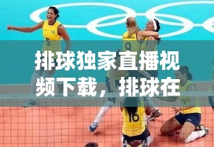 排球獨家直播視頻下載，排球在線直播免插件 