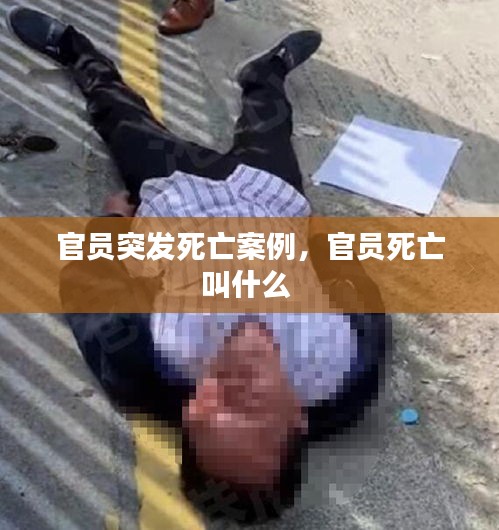 官員突發(fā)死亡案例，官員死亡叫什么 