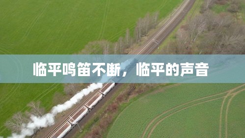 臨平鳴笛不斷，臨平的聲音 
