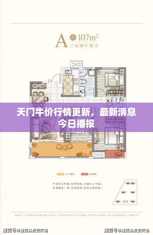 天門牛價行情更新，最新消息今日播報