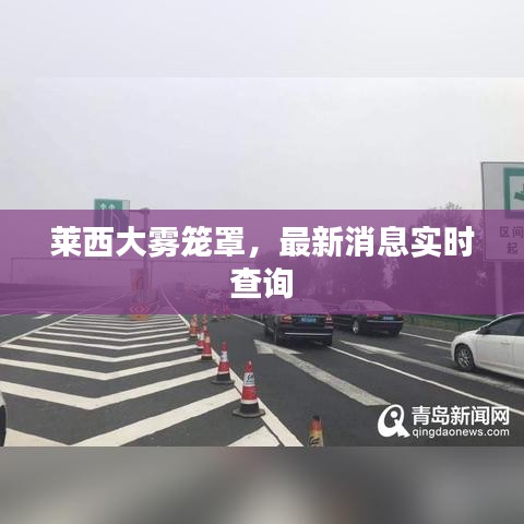 萊西大霧籠罩，最新消息實(shí)時(shí)查詢