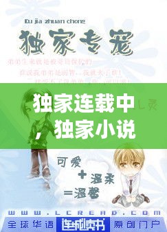 獨(dú)家連載中，獨(dú)家小說什么意思 