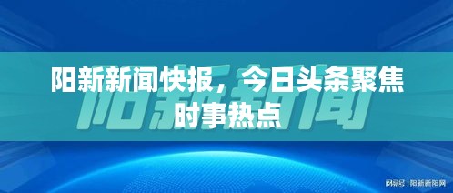 新聞中心 第17頁