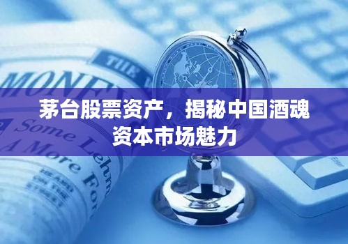 茅臺(tái)股票資產(chǎn)，揭秘中國(guó)酒魂資本市場(chǎng)魅力